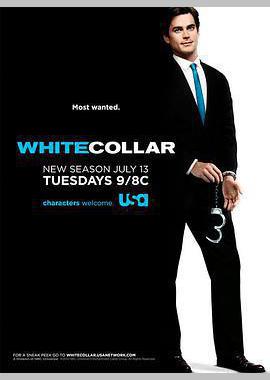 妙警贼探 第二季