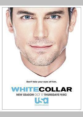 妙警贼探 第五季