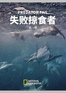 失败掠食者 第一季