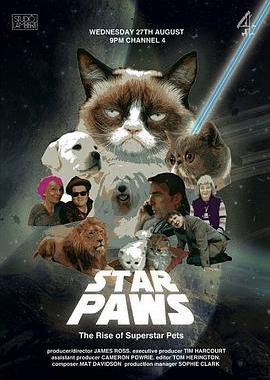 明星猫咪：明星宠物的崛起