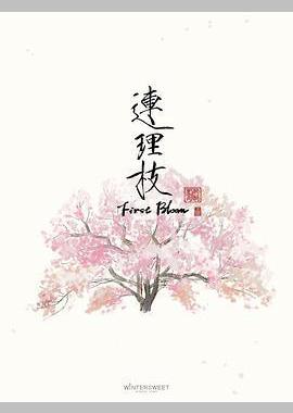 连理枝