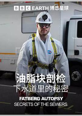 油脂块剖检：下水道里的秘密