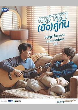 假偶天成 特别篇