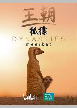 王朝：狐獴特辑