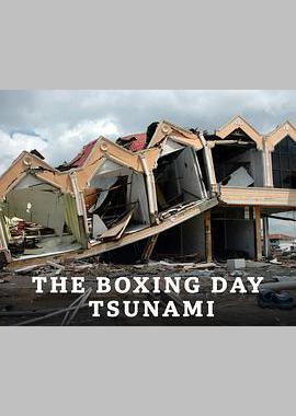 印度洋大海啸 第一季