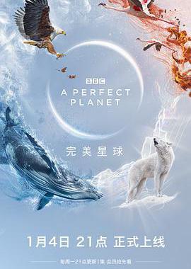 完美星球