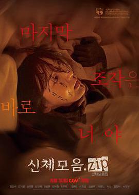 身体集合.zip