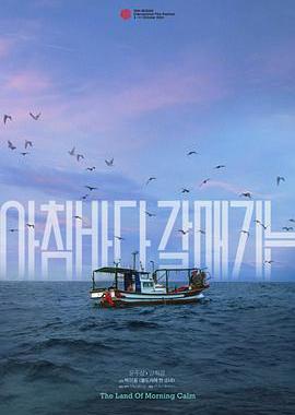 晨海的海鸥