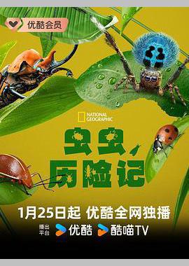 虫虫历险记 第一季