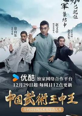 中国武术王中王