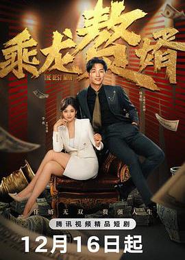 乘龙赘婿