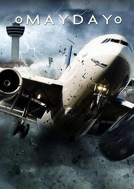 空中浩劫 第二十五季