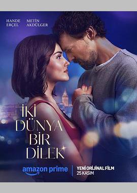 两个世界一个愿望