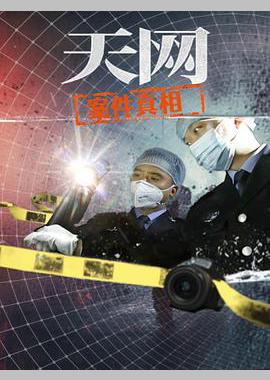 天网：案件真相