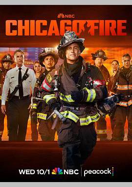 芝加哥烈焰 第十四季