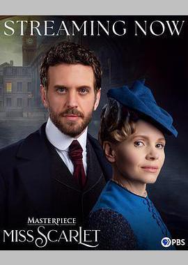 斯嘉丽小姐探案集 第六季