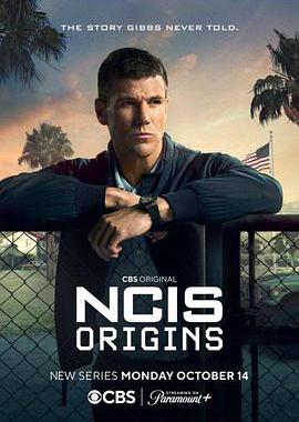 海军罪案调查处：溯源 第二季