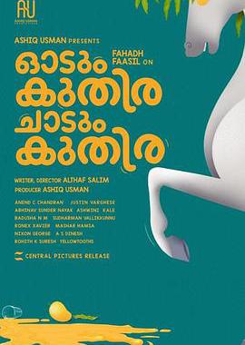 一匹马奔跑，一匹马跳跃