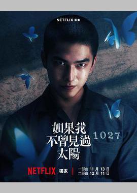 如果我不曾见过太阳