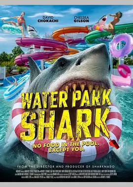Water Park Shark
