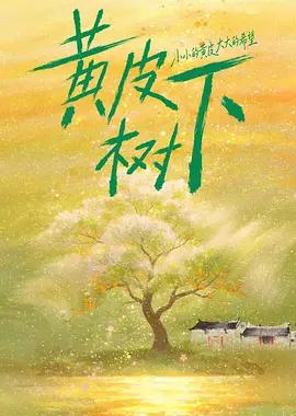黄皮树下