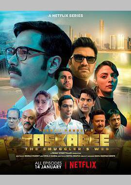 海关英雄：走私暗战