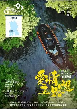 爱情正路过