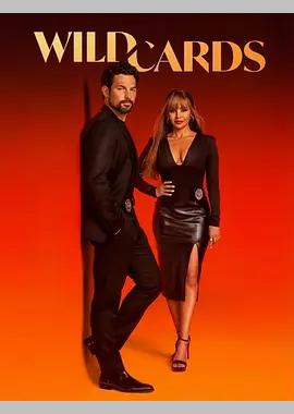 百变王牌 第三季