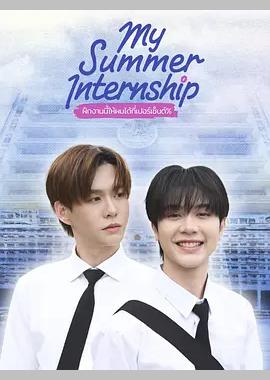 我的夏日实习
