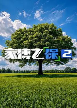 家传之“保”2