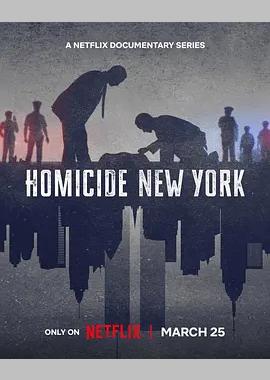凶杀重案实录：纽约 第二季