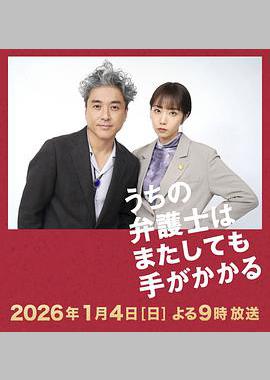 我家的律师又惹麻烦了