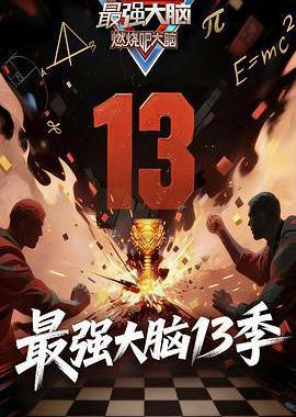最强大脑 第十三季