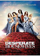 绝望主妇 第六季