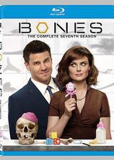 识骨寻踪 第七季