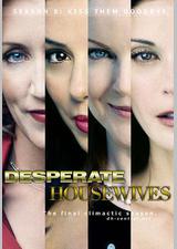 绝望主妇 第八季