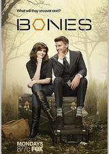 识骨寻踪 第八季