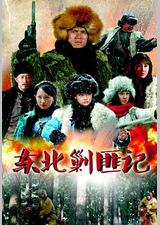 东北剿匪记