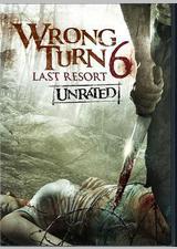 致命弯道6：终极审判