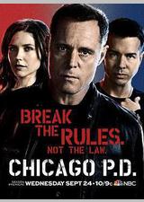 芝加哥警署 第二季