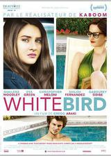 暴风雪中的白鸟