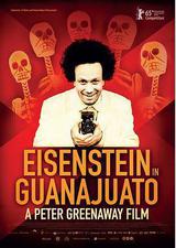 爱森斯坦在瓜纳华托