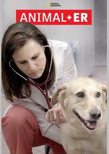 动物急症室 第一季