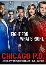 芝加哥警署 第四季