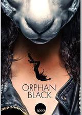 黑色孤儿 第四季