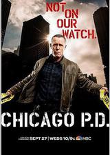 芝加哥警署 第五季