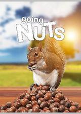 痴迷坚果：松鼠世界传奇