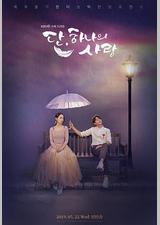 仅此一次的爱情