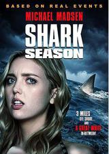 鲨鱼季节