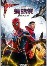 蜘蛛侠：英雄无归